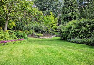 Optimiser l'expérience du jardin à Mourvilles-Basses